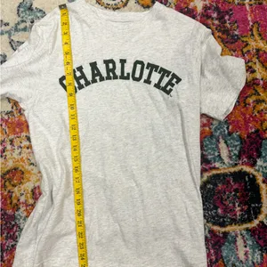 Charlotte t shirt Gray Size M thumbnail 5