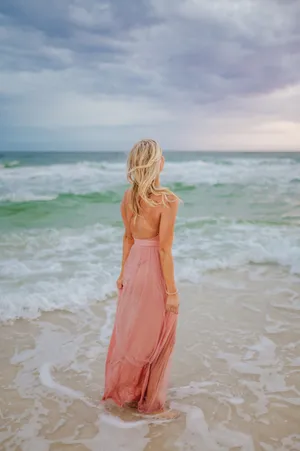 Windsor Mesh Long Dress thumbnail 4