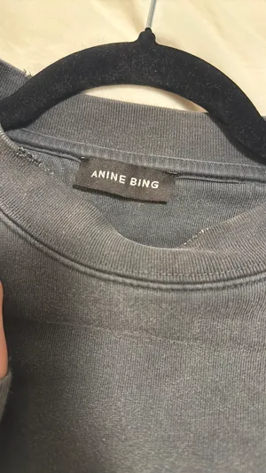 ANINE BING Sweatshirt Grey thumbnail 2