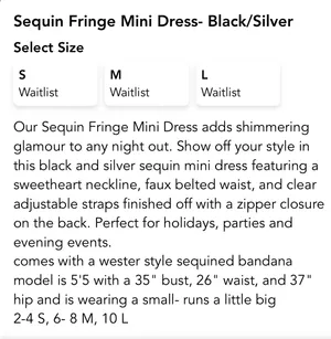 Sequin Fringe Black Mini Dress thumbnail 5