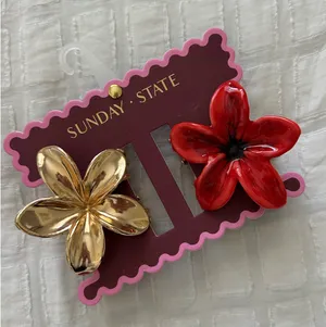 NWT Sunday State Hair Clips thumbnail 1