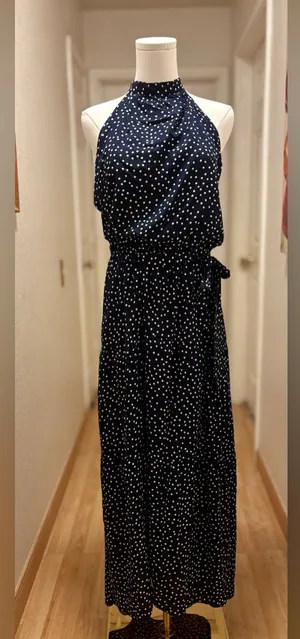 *NWT* Pretty garden polka dot dress sz L thumbnail 1