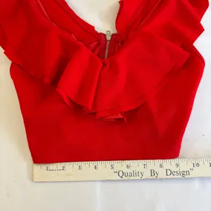 Red Ruffle V Neck Sleeveless Crop Top Back Zip‎ XS Whimsygoth Chic Club Attire thumbnail 11