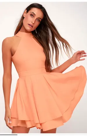 Lulus Dress Peach Skater Rehearsal Dress thumbnail 1