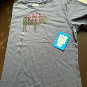 NWT The North Face T Shirt L thumbnail 1