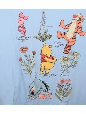 Disney Winnie the Pooh Botanical Graphic Tee Light Blue Character Print Size XXL thumbnail 4