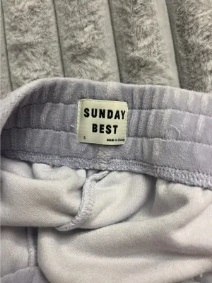 Aritzia Sunday Best Shorts thumbnail 3