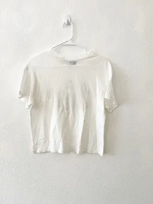 Wildfox Hitched & Famous graphic Boy Tee Blouse‎ NWT S thumbnail 4
