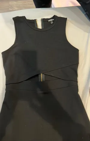 Express Dress thumbnail 2
