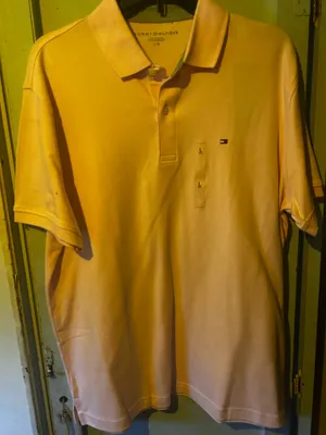 Tommy Hilfiger Men polo thumbnail 1