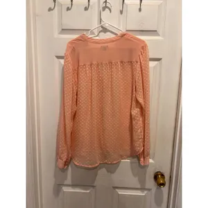 Ann Taylor Womens Large Pink Swiss Dot Sheer Long Sleeve Button Front Blouse thumbnail 6