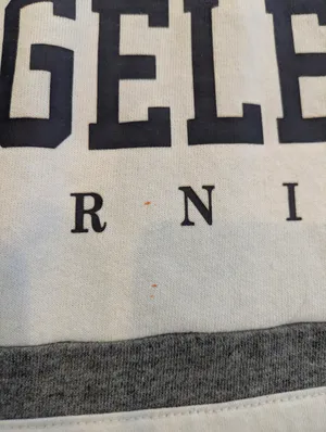 Hollister California Los Angeles Gray Hoodie Size Small thumbnail 4