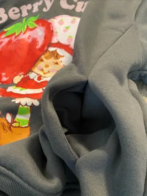 Strawberry Shortcake Berry Cute Graphic Gray Sweatshirt SMALL thumbnail 7
