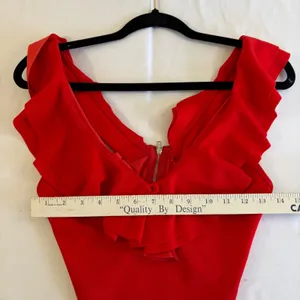 Red Ruffle V Neck Sleeveless Crop Top Back Zip‎ XS Whimsygoth Chic Club Attire thumbnail 10