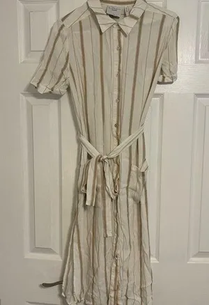 Revolve L’Acadamie Stripe Button Down Dress thumbnail 1