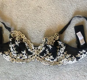 Lace Bra thumbnail 1