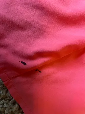 Calia by Carrie Underwood Shorts thumbnail 4