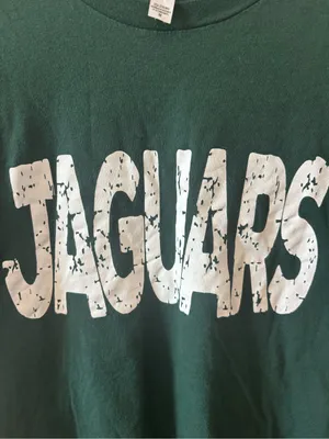 Bella Canvas Women’s Green Jaguars Graphic Tee thumbnail 2