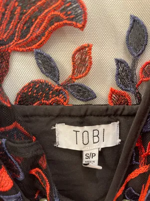 Tobi Lace Embroidered Dress thumbnail 5