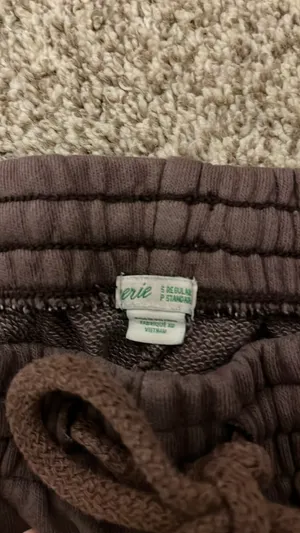 aerie joggers brown  thumbnail 5