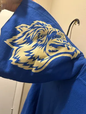 DARC Sport Hoodie thumbnail 3