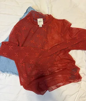 Maeve Lace sheer Long sleeve Top thumbnail 1