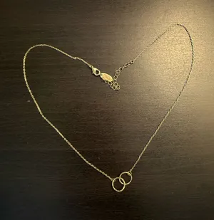Double loop dainty necklace Gold thumbnail 1