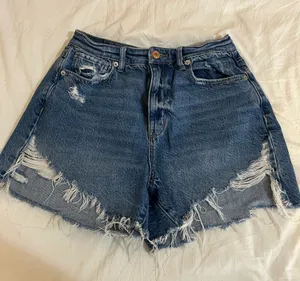 American Eagle Outfitters Jean shorts thumbnail 1