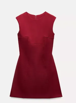 Zara Seamed Mini Dress thumbnail 1