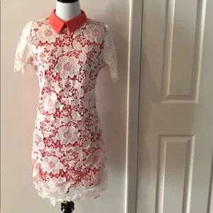 Coral Ivory Floral Lace Collared Sheath Mini Dress Size M NWT thumbnail 6
