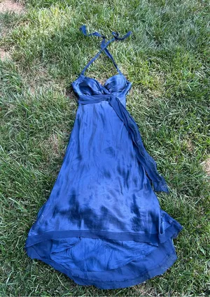 Vintage‎ y2k Cache Silk Halter Dress size 6 blue high low whimsy floral summer thumbnail 1