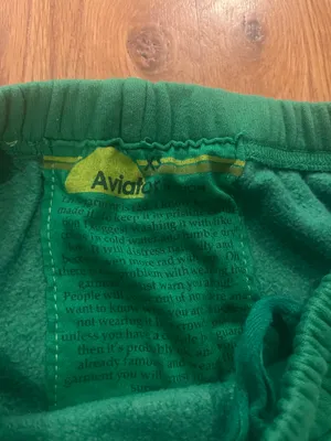 RARE Aviator Nation Kelly Green and Blue 5 Stripe Sweatpants thumbnail 2