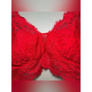 Aerie Red Floral Eyelash Lace Padded Plunge Bralette Bra Women’s Size Medium thumbnail 5