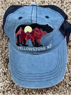 Yellowstone Blue Trucker Hat thumbnail 1