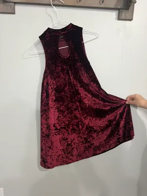 Arizona Burgundy Velvet Dress thumbnail 2