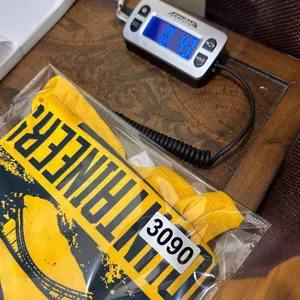Colosseum West Virginia Mountaineers Tee Womens S Yellow V Neck T Shirt‎ Short Sleeve NEW thumbnail 7