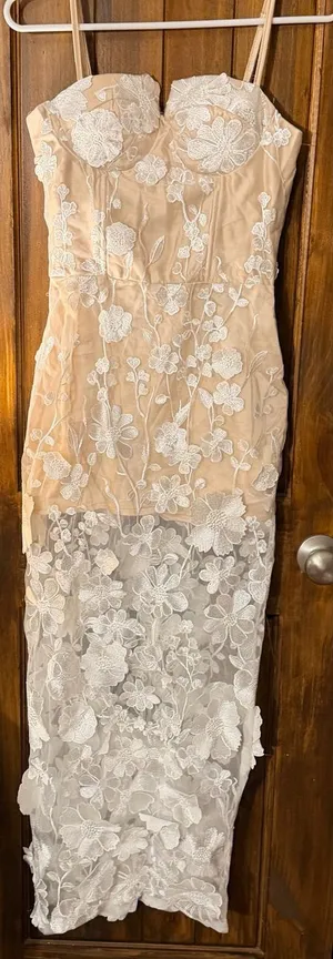 Sheer Lace Overlay Nude & White Spaghetti-Strap Dress thumbnail 1
