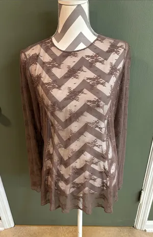 Sheer Lace Long-Sleeve Top - Taupe thumbnail 1