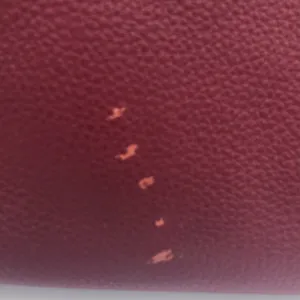Michael Kors Burgundy Crossbody Bag thumbnail 6