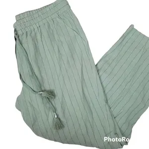 ✨Soft surroundings metallic striped linen blend elastic waist pants✨ thumbnail 5