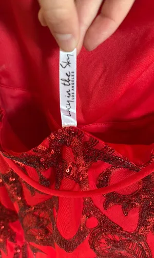 Lucy in the Sky Red Dress thumbnail 5