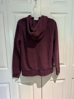Carhartt Zip Hoodie in Plum thumbnail 3