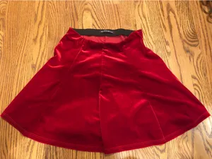 Brandy Melville Velvet Skirt  thumbnail 1
