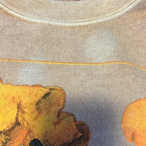 PacSun small sweatshirt with mushrooms. 🍄 GUC. Two bleached spots on front. thumbnail 2