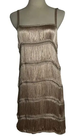 Zara Fringe Mini Dress Women Small Champagne Gold Flapper Chain Detail NWT thumbnail 1
