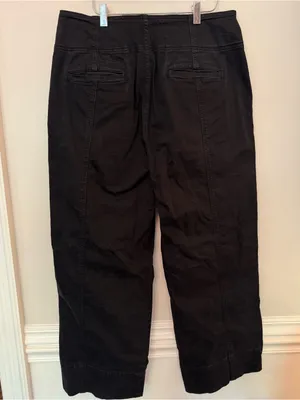 Anthropologie Pilcro “The Seamed Flare Pants” in Black Plus Size thumbnail 6