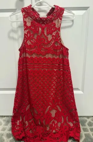 Red Lace Dress Francesca's thumbnail 1