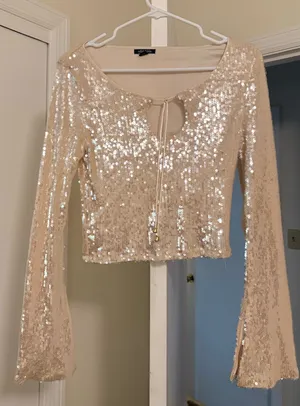 Wild Fable Long Sleeve Sequin Top thumbnail 1