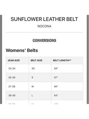 NWOT Women's Nocona Western Sunflower Embossed Leather Belt Brown Silver thumbnail 8