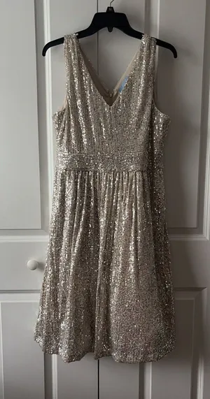 Draper James Silver Sequin Dress Size 10 Sleeveless New without Tags thumbnail 1